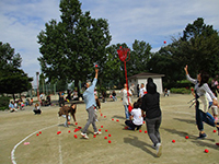 運動会　なんよう園